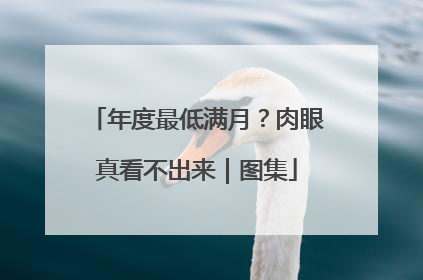 年度最低满月？肉眼真看不出来｜图集