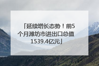 延续增长态势！前5个月潍坊市进出口总值1539.4亿元