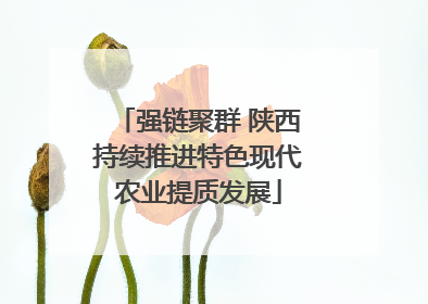 强链聚群 陕西持续推进特色现代农业提质发展