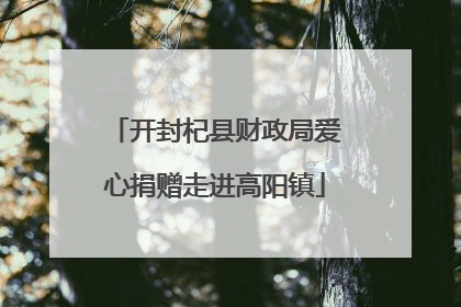 开封杞县财政局爱心捐赠走进高阳镇