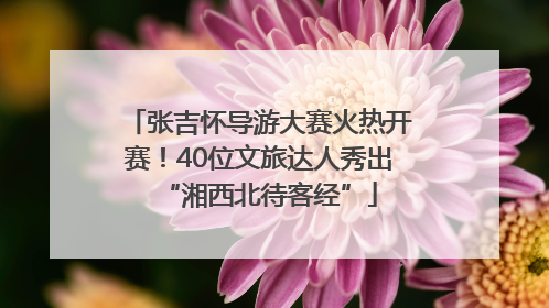 张吉怀导游大赛火热开赛！40位文旅达人秀出“湘西北待客经”