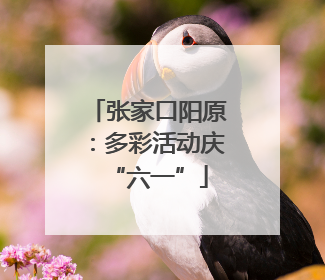 张家口阳原：多彩活动庆“六一”