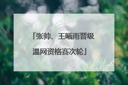 张帅、王曦雨晋级温网资格赛次轮