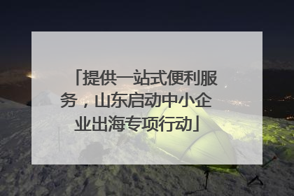 提供一站式便利服务，山东启动中小企业出海专项行动