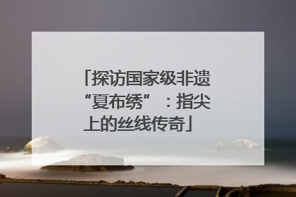 探访国家级非遗“夏布绣”：指尖上的丝线传奇