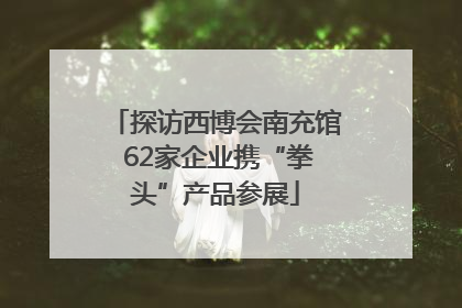 探访西博会南充馆 62家企业携“拳头”产品参展