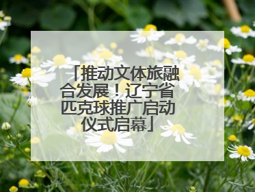 推动文体旅融合发展！辽宁省匹克球推广启动仪式启幕