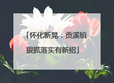 怀化新晃：贡溪镇狠抓落实有新招