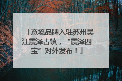 意境品牌入驻苏州吴江震泽古镇，“震泽四宝”对外发布！