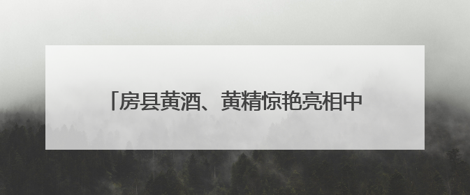 房县黄酒、黄精惊艳亮相中国国际文化产业博览交易会