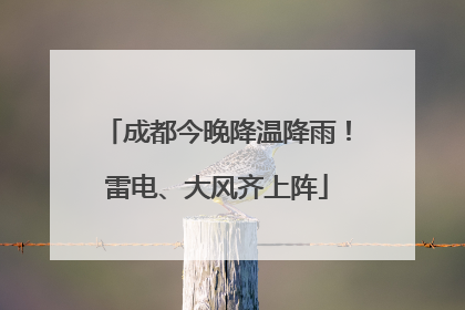 成都今晚降温降雨！雷电、大风齐上阵