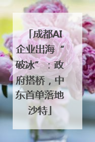 成都AI企业出海“破冰”：政府搭桥，中东首单落地沙特