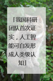 我国科研团队首次证实，人工智能可自发形成人类级认知