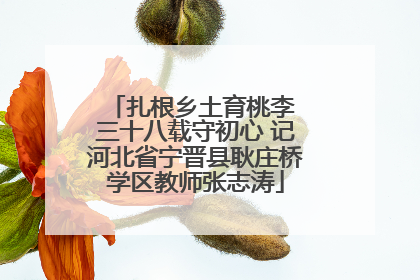 扎根乡土育桃李 三十八载守初心 记河北省宁晋县耿庄桥学区教师张志涛