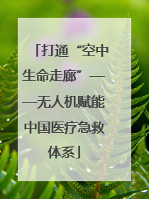 打通“空中生命走廊”——无人机赋能中国医疗急救体系