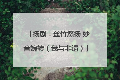 扬剧：丝竹悠扬 妙音婉转（我与非遗）