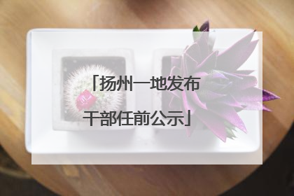 扬州一地发布干部任前公示