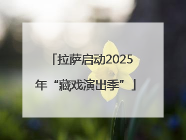 拉萨启动2025年“藏戏演出季”