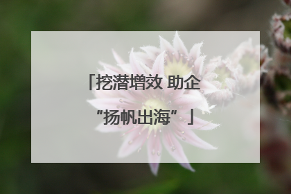 挖潜增效 助企“扬帆出海”