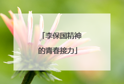 李保国精神的青春接力