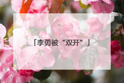 李勇被“双开”