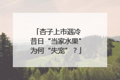 杏子上市遇冷 昔日“当家水果”为何“失宠”？