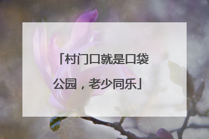 村门口就是口袋公园，老少同乐