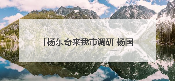 杨东奇来我市调研 杨国强陈必昌田和友分别参加