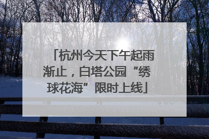 杭州今天下午起雨渐止，白塔公园“绣球花海”限时上线