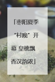 枣阳夏季“村晚”开幕 皇桃飘香汉韵浓