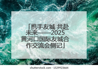 携手友城 共赴未来——2025黄河口国际友城合作交流会侧记