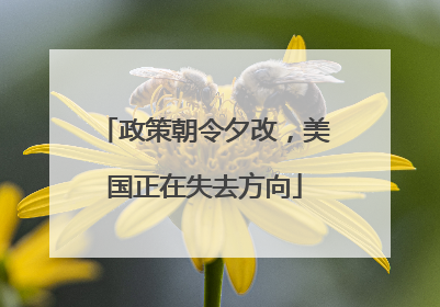 政策朝令夕改，美国正在失去方向