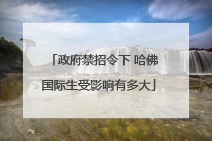政府禁招令下 哈佛国际生受影响有多大