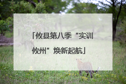 攸县第八季“实训攸州”焕新起航