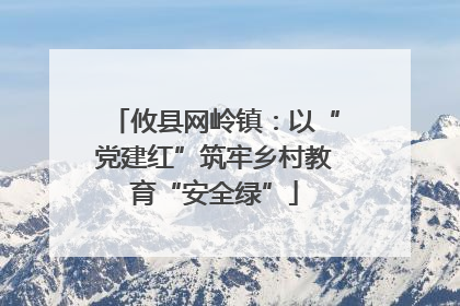 攸县网岭镇：以“党建红”筑牢乡村教育“安全绿”