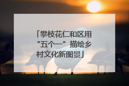 攀枝花仁和区用“五个一”描绘乡村文化新图景