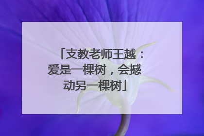 支教老师王越：爱是一棵树，会撼动另一棵树