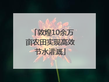 敦煌10余万亩农田实现高效节水灌溉