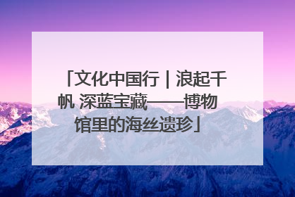 文化中国行｜浪起千帆 深蓝宝藏——博物馆里的海丝遗珍