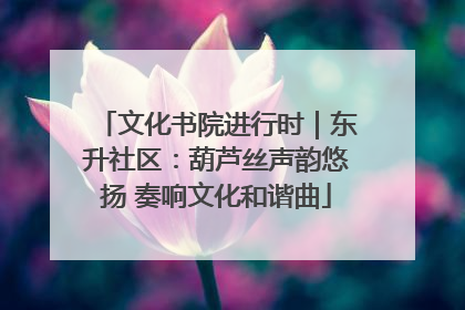 文化书院进行时｜东升社区：葫芦丝声韵悠扬 奏响文化和谐曲