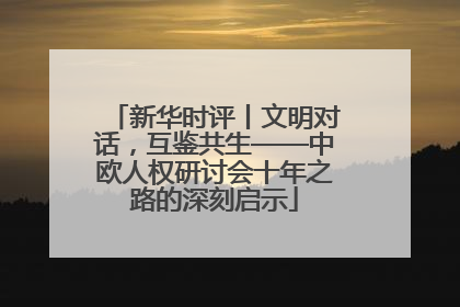 新华时评丨文明对话，互鉴共生——中欧人权研讨会十年之路的深刻启示