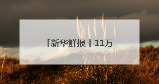 新华鲜报丨11万列！中欧班列跑出亚欧大陆“新时速”