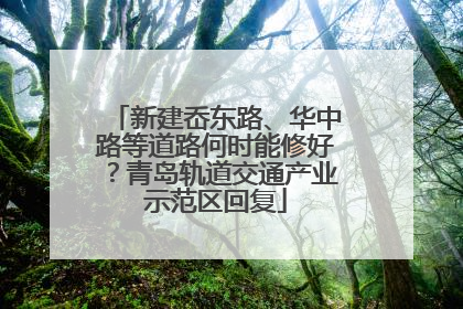 新建岙东路、华中路等道路何时能修好？青岛轨道交通产业示范区回复