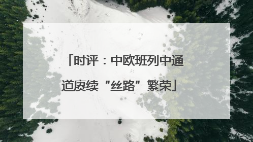 时评：中欧班列中通道赓续“丝路”繁荣