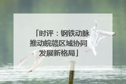 时评：钢铁动脉推动皖赣区域协同发展新格局