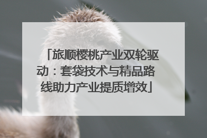旅顺樱桃产业双轮驱动：套袋技术与精品路线助力产业提质增效