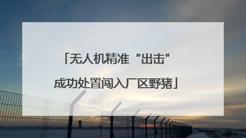 无人机精准“出击” 成功处置闯入厂区野猪