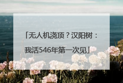 无人机浇顶？汉阳树：我活546年第一次见