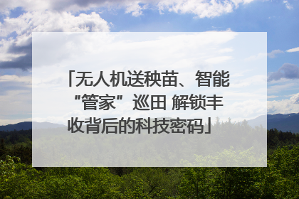 无人机送秧苗、智能“管家”巡田 解锁丰收背后的科技密码