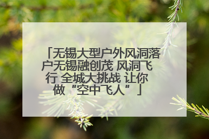 无锡大型户外风洞落户无锡融创茂 风洞飞行 全城大挑战 让你做“空中飞人”